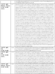 Figure imgf000082_0001