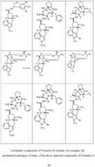 Figure imgf000038_0001