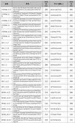 Figure BDA0002379404260001151