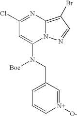 Figure US07119200-20061010-C01602