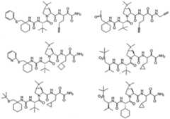 Figure imgf000300_0002