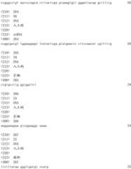 Figure IDA0001908093610001021