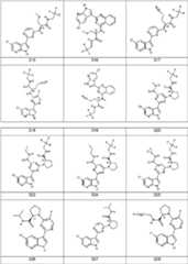 Figure FDA0000106649170000351