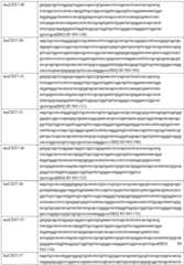 Figure GDA0002332994560000691