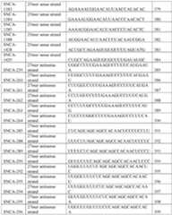 Figure imgf000185_0001