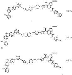 Figure BDA0004113777320000991
