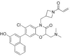 Figure imgf000089_0002
