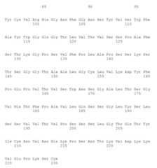 Figure 109106319-A0305-02-0190-144