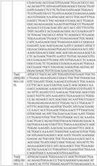 Figure BDA0004033970230005621