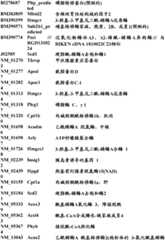 Figure BDA0000057170160002041