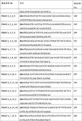 Figure BDA0000059233380000641