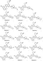 Figure imgf000387_0001