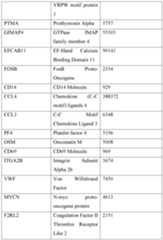 Figure imgf000011_0001