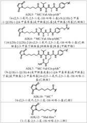 Figure BDA0002808063770002791