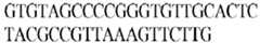 Figure imgb0403
