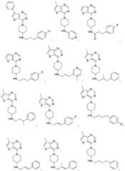 Figure 2023508978000841