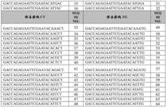 Figure BDA0002379404260000541