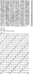 Figure I2004800303850I00721