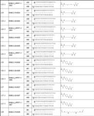 Figure JPOXMLDOC01-appb-T000064