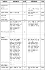 Figure imgf000018_0001