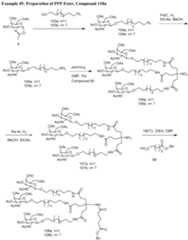 Figure imgf000567_0001