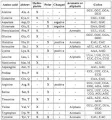 Figure imgf000009_0001