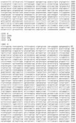 Figure IDA00002091897100051