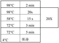 Figure GDA0003298213970001203