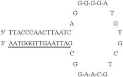 Figure US06391551-20020521-C00010
