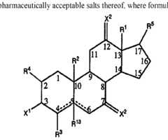 Figure imgf000017_0002