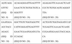 Figure BDA0002526715610000211