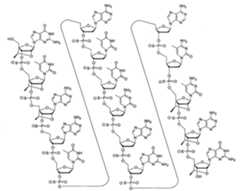 Figure 108131991-A0202-12-0029-11