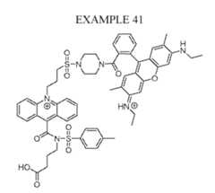 Figure imgf000090_0001