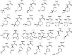 Figure imgf000023_0002