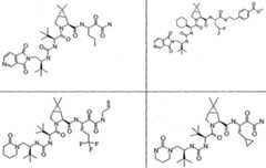 Figure imgf000281_0002