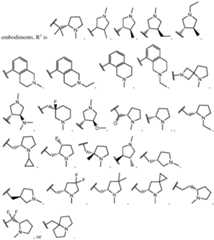 Figure imgf000031_0001