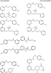 Figure imgf000097_0001