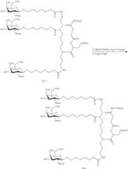 Figure US11896674-20240213-C00094