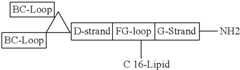 Figure US08907053-20141209-C00093