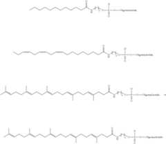 Figure US11596646-20230307-C00111