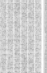 Figure IPA0000293710130000351