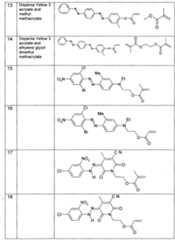 Figure imgf000010_0001