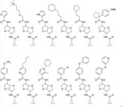 Figure FDA00003363594700051