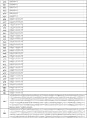 Figure imgf000124_0001