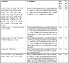 Figure imgf000042_0002