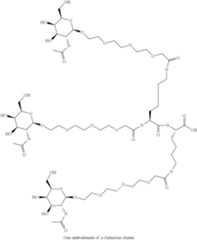 Figure US08501930-20130806-C00014