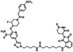 Figure BDA0002964098100002451