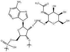 Figure imgf000060_0001