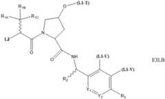 Figure BDA0004113777320000541