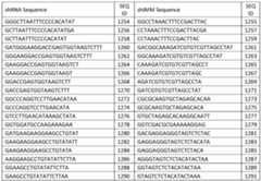 Figure imgf000056_0002